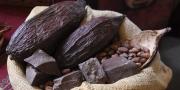 Exportación de cacao boliviano alcanza récord de $us 14 millones en 2024 y La Paz lidera las ventas