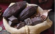 Exportación de cacao boliviano bate récord