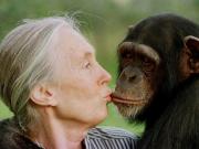 Se conoció el último deseo de Jane Goodall