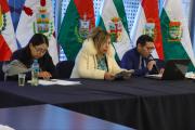 Evismo intentó rebasar a la Asamblea y conformar una comisión que investigue presunto fraude