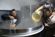 Hay solo tres productores de hidromiel en el país y uno de ellos está en El Bolsón, el único en la Patagonia