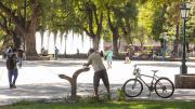 Pronóstico del tiempo en Mendoza: jornadas cálidas con descenso de la temperatura hacia el fin de semana