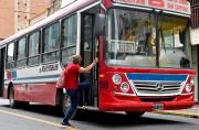 Cómo funcionarán servicios, comercios y colectivos este feriado en Tucumán