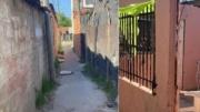 Una banda narco transmitió en vivo el brutal asesinato de un joven: “¿Así que sos sapo?”