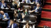 Diputados anuló el decreto contra la Emergencia en Discapacidad