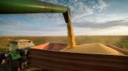 Se observan señales de una campaña sólida para el agro: “Hay lotes que están expresando un nivel de rindes excelentes”
