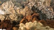 China refuerza restricciones sobre tierras raras con la mira sobre los semiconductores