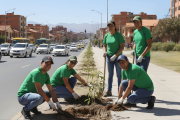 La revolución de las aceras: pequeños árboles, grandes cambios