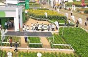 Destacan a Agro Vidas “como un ejemplo de la productividad cruceña”