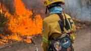 Incendios forestales arrasaron con más de dos mil hectáreas en Salta