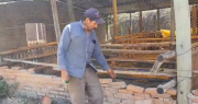 “Rompieron la malla”: 21 cabras lecheras fueron devoradas por una jauría en Sucre