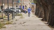 Viento Zonda en Mendoza: a qué hora se espera que bajen las ráfagas este viernes 10 de octubre