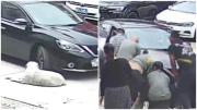 EN VIDEO: Así fue cómo un perro sobrevivió tras ser atropellado en China gracias a su obesidad