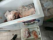 Secuestraron dos toneladas de carne en mal estado en Cipolletti: gran operativo en 25 locales de la ciudad