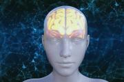Experimento con láser revela cómo el cerebro construye la realidad