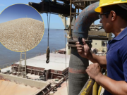Las exportaciones superaron los US$33.000 millones