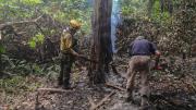 Bolivia registra nueve incendios activos en ocho municipios