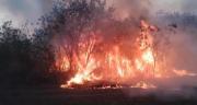 VIDEO. Mirá las impactantes imágenes del incendio en la zona del aeropuerto Benjamín Matienzo