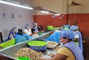 Trabajadoras del país tienen asueto de media jornada por el Día de la Mujer este sábado