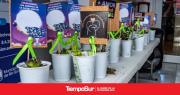 Municipio promueve actividades para generar espacios de encuentro
