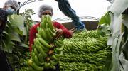 Informe del IIF: “el modelo de Bolivia ha llegado a su fin, el próximo gobierno debe navegar una economía en crisis”