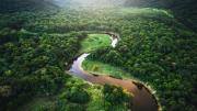 El bosque más grande del planeta Tierra está en América del Sur: produce casi una cuarta parte del oxígeno