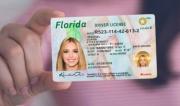 Licencia de conducir en Miami: ¿Quién califica para tramitarla con la Operación Luz Verde?