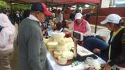 Tarija: La mujer aún lucha por equidad en el mercado laboral