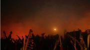 Los incendios quemaron cultivos en el norte salteño