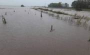 Un candidato lilito apuntó a Nación por las inundaciones