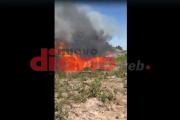 Quema de pastizales: los bomberos intervinieron en tres focos y piden responsabilidad ciudadana