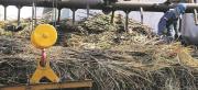 El sector productivo está con un freno de mano: alertan que su esfuerzo e inversión se está quedando en el campo por falta de diésel.