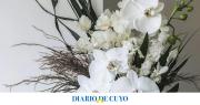 Flores en el Interior: cómo elegir plantas para diferentes estilos de vivienda