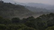Obra de energía amenaza al santuario Passiflora, refugio del jaguar en la amazonía boliviana