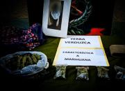 La Paz: sorprenden a una adolescente en poder de 1 kilo de marihuana