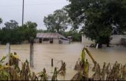 México confirma al menos 37 muertos y 117 municipios afectados tras fuertes lluvias