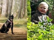 Un perro fuera de control, un niño atacado y dos padres condenados: La mala acción debe ser castigada