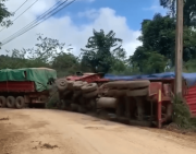 Camión cae al precipicio en Tarija, el conductor logra salvarse tras saltar