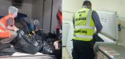Desde carne hasta fruta: secuestraron más de 700 kilos de comida en Cipolletti por irregularidades sanitarias