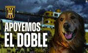 El Tigre enfrenta a Wilstermann en un partido con iniciativa solidaria para los peluditos