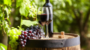 La filosofía del vino: los vinos de montaña versus los vinos del llano