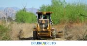 Realizan un operativo inédito de limpieza en el Parque Sarmiento para reducir riegos de incendio