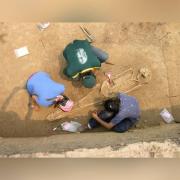 ¿Qué pierde el Beni por la ausencia de una ley de protección de su patrimonio arqueológico?
