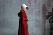 “Al sapo lo matas cocinándolo de a poco” (Margaret Atwood)