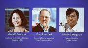 Nobel de Medicina a Brunkow, Ramsdell y Sakaguchi por la tolerancia inmunológica periférica