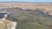 Cientos de familia migran a las ciudades por la contaminación del Titicaca