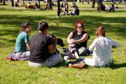 Fin de semana largo: cómo estará el clima en la provincia de Buenos Aires y hasta cuándo dura el veranito