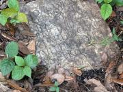 Limpiaban el jardín de su casa y encontraron una lápida romana de 1900 años de antigüedad