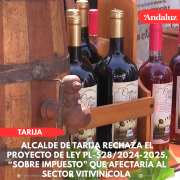 Alcalde rechaza el proyecto de Ley “Sobre Impuesto” que afectaría al sector vitivinícola