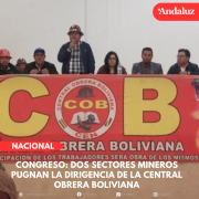 Dos sectores mineros pugnan la dirigencia de la Central Obrera Boliviana